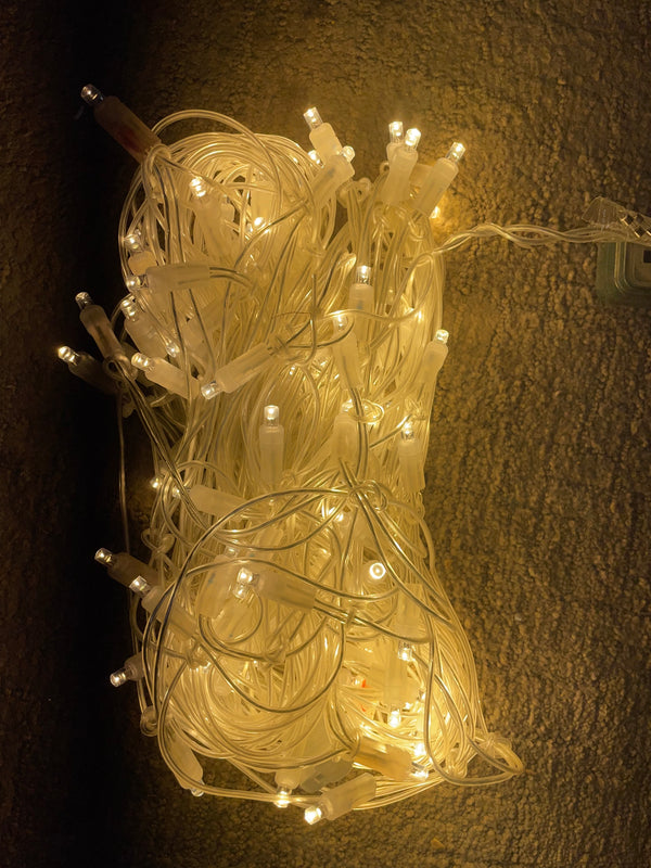 100L Net Lights -Clear wire (Warm White)