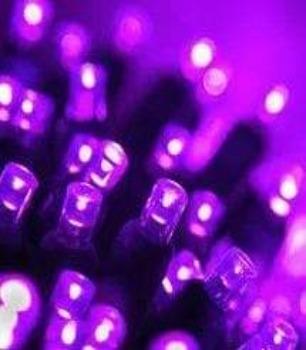 50L Purple Concave LED Mini Lights 5mm 6" Spacing